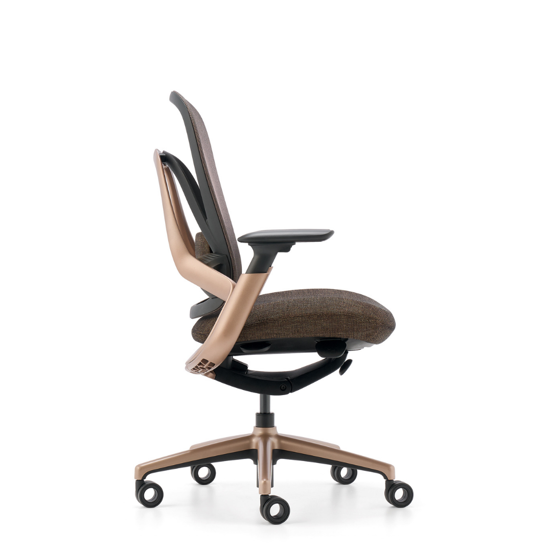 MG - Image 5